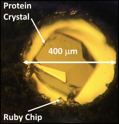 View into the diamond anvil cell