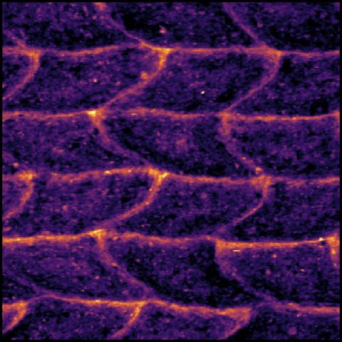 SAXS intensity map reveals structure of 3D-printed part