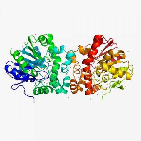 Defluorinase