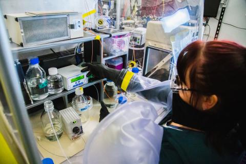 Gabrielle Illava manipulating samples within the anaerobic chamber