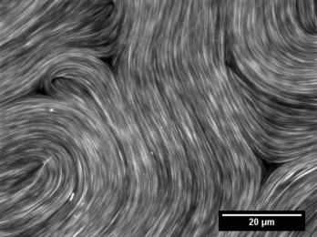 Active matter extracts energy from its surroundings at the single particle level and transforms it into mechanical work. Here active nematics – a type of active system that is characterized by self-driven units with elongated shape – creates turbulence and topological defects.