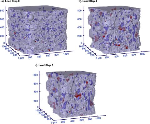 image shows pores evolving, description in caption.