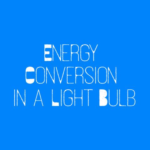 Energy Conversion in a Light Bulb