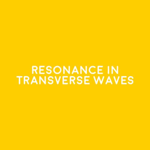 Resonance in Transverse Waves