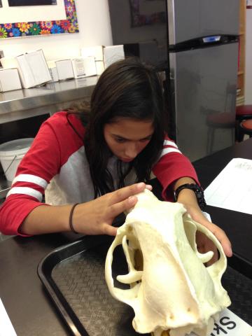 Student with bear skull