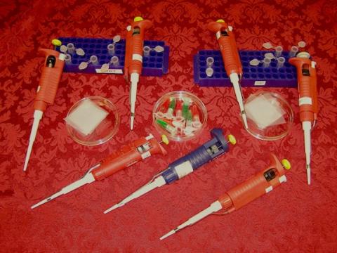 Pipettes