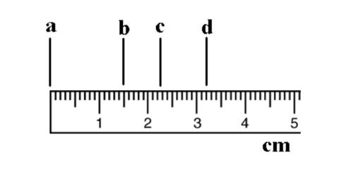 A picture of a ruler