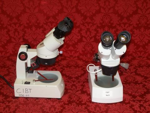 Two stereo microscopes