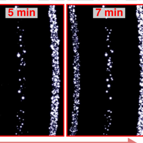 a cropped portion of diffraction images