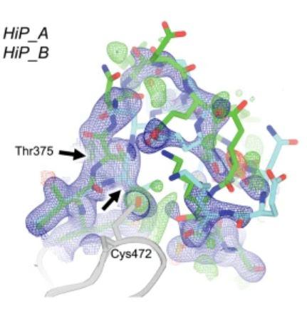 HiP dual E loop