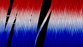 fibers of light