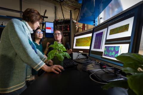 Scientists looking at plants and computers