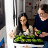 Image of two women examining seedings in a lab