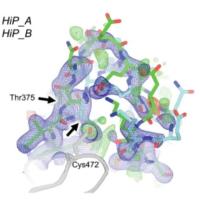 HiP dual E loop