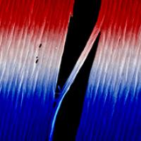 fibers of light