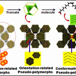 Translation-related polymorphs, Orientation-related Pseudo-polymorphs, Conformation-related Pseudo-polymorphs