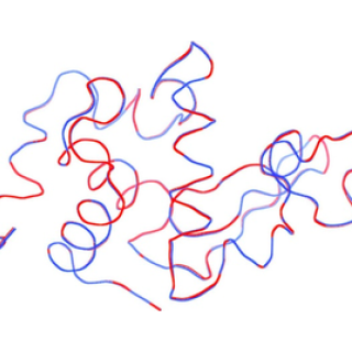 Superposition of the ribbon representations of the backbone chains of the structures solved with small crystals 