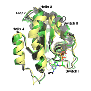 R‐state and T‐state conformational states