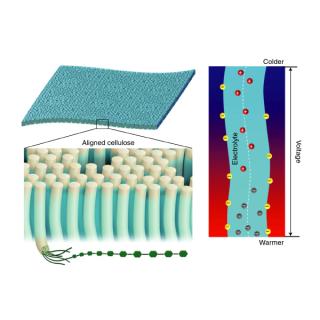 Left: The cellulose fibers are naturally aligned along the growth direction. Cellulose exhibits a hierarchical alignment, in which the nanofibres consist of aligned cellulose molecular chains. Right: Schematic of the ionic device after infiltrating electrolyte into the nanofluidic cellulosic membrane. Under a thermal bias, the surface charged nanofibres regulate ionic movement via nanofluidic effects (that is, the overall effect created by a high degree of confinement and the charged walls of the cellulose 