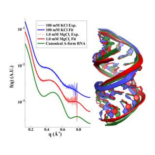 Experimental X-ray scattering curves for RNA duplexes