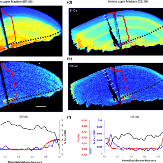 Otoliths and corresponding chemical profiles of two specimens performing regional natal homing in the upper Madeira River