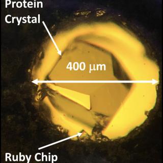 View into the diamond anvil cell