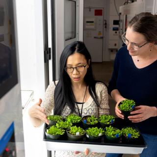 Image of two women examining seedings in a lab