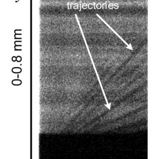 graph of particle trajectories