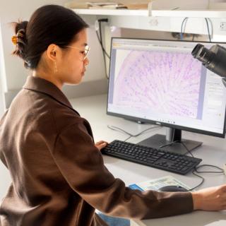 scientist at computer.