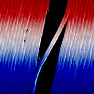 fibers of light