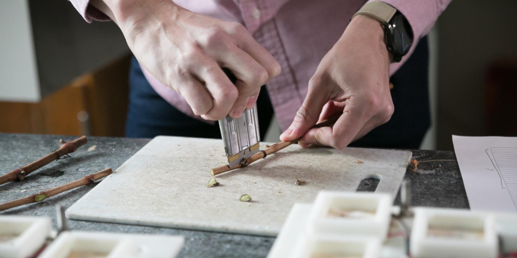 Photo of researcher working in laboratory.